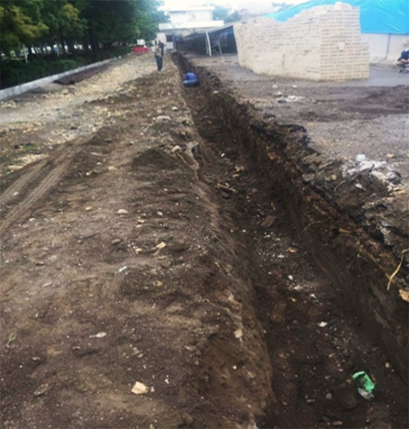 مهندس رضا عارفخانی